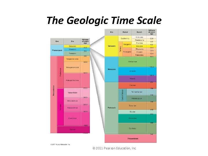 The Geologic Time Scale © 2011 Pearson Education, Inc. 