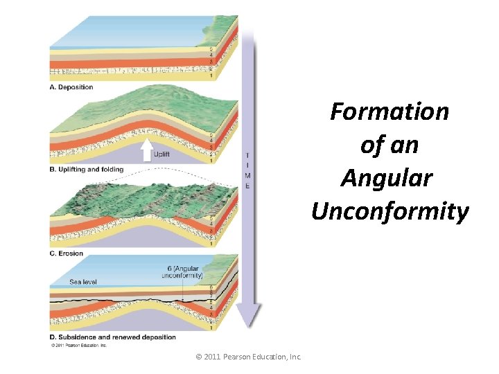 Formation of an Angular Unconformity © 2011 Pearson Education, Inc. 