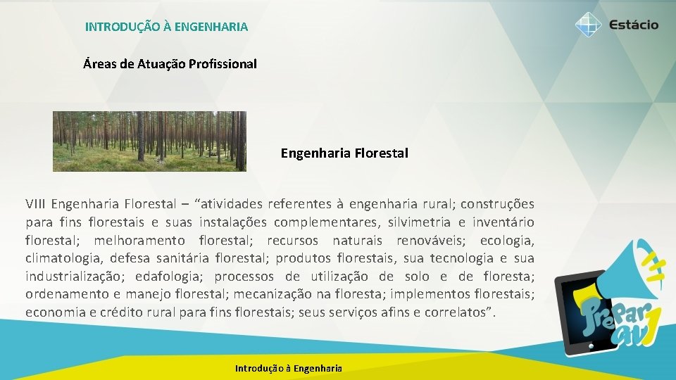 INTRODUÇÃO À ENGENHARIA Áreas de Atuação Profissional Engenharia Florestal VIII Engenharia Florestal – “atividades