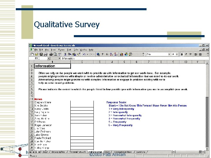 Qualitative Survey © 2003 Patti Anklam 