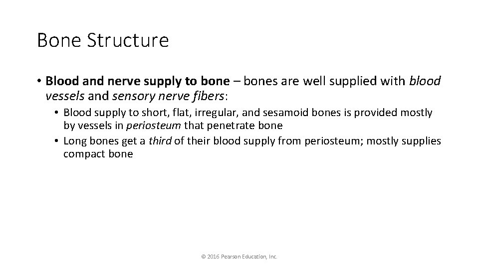 Bone Structure • Blood and nerve supply to bone – bones are well supplied