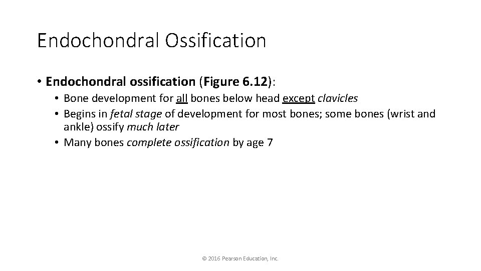 Endochondral Ossification • Endochondral ossification (Figure 6. 12): • Bone development for all bones