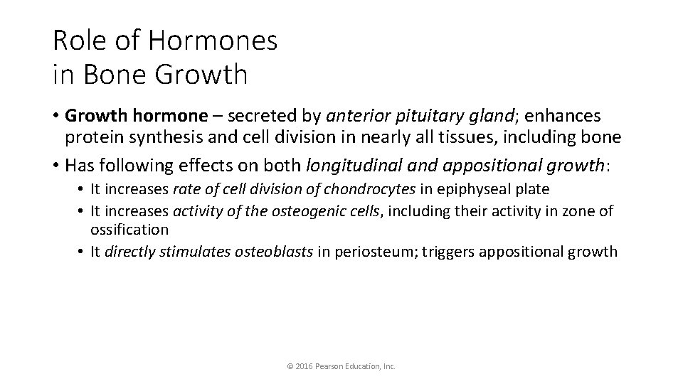 Role of Hormones in Bone Growth • Growth hormone – secreted by anterior pituitary