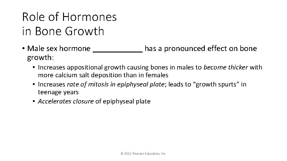 Role of Hormones in Bone Growth • Male sex hormone ______ has a pronounced