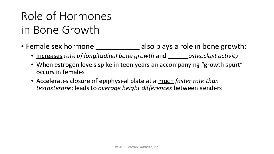 Role of Hormones in Bone Growth • Female sex hormone ______ also plays a