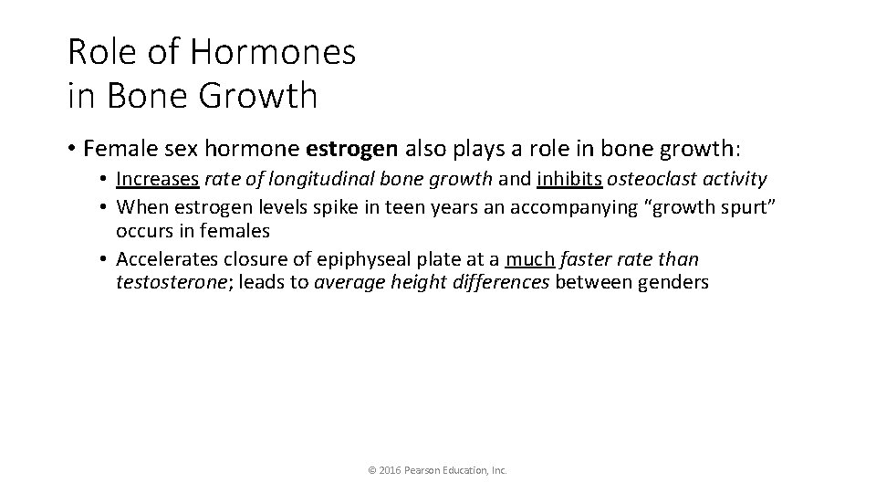 Role of Hormones in Bone Growth • Female sex hormone estrogen also plays a