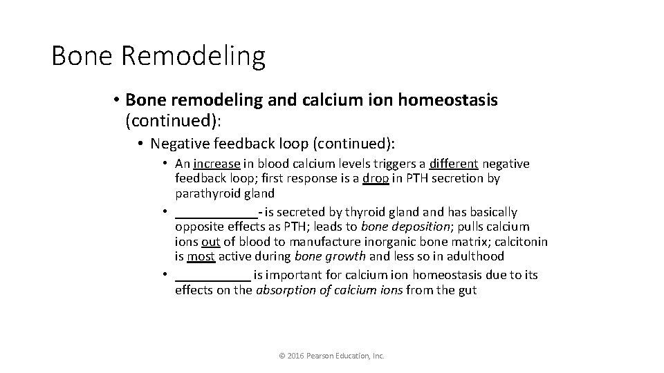 Bone Remodeling • Bone remodeling and calcium ion homeostasis (continued): • Negative feedback loop