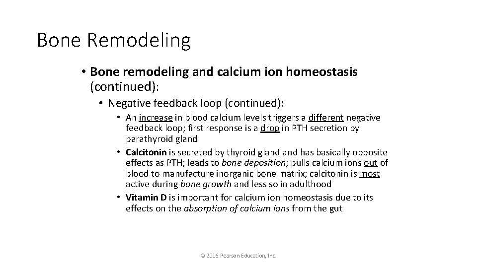 Bone Remodeling • Bone remodeling and calcium ion homeostasis (continued): • Negative feedback loop