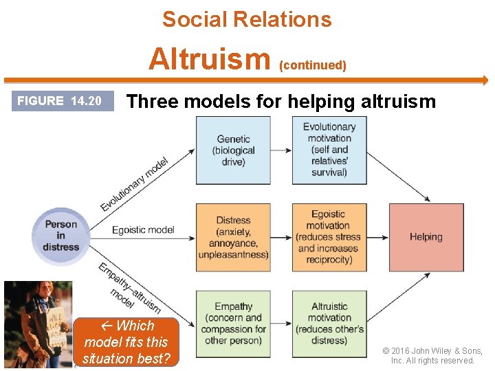 Social Relations Altruism (continued) FIGURE 14. 20 Three models for helping altruism Which model