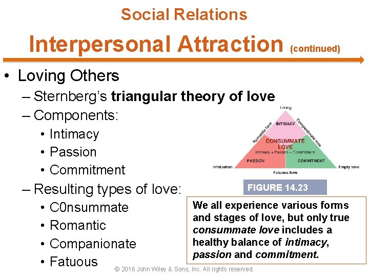 Social Relations Interpersonal Attraction (continued) • Loving Others – Sternberg’s triangular theory of love