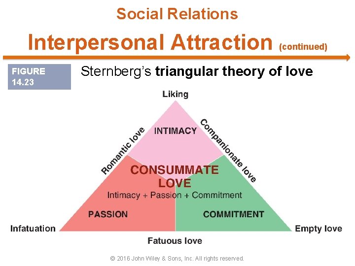 Social Relations Interpersonal Attraction (continued) FIGURE 14. 23 Sternberg’s triangular theory of love ©