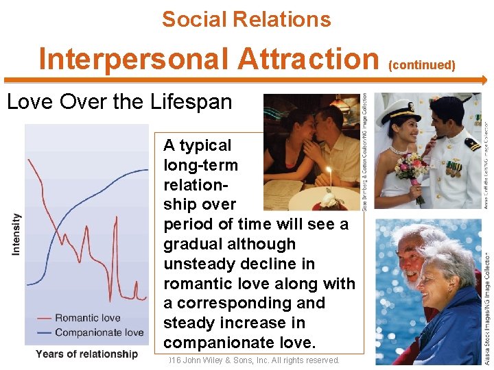 Social Relations Interpersonal Attraction (continued) Love Over the Lifespan A typical long-term relationship over