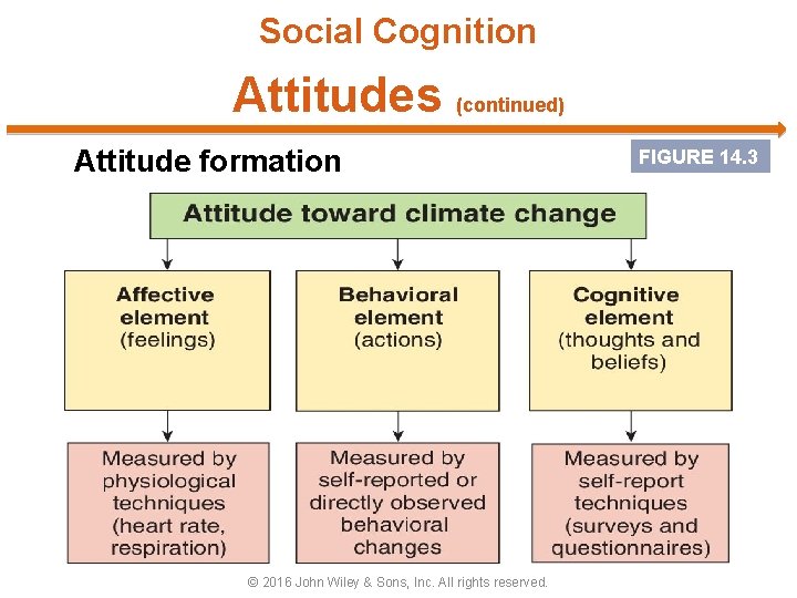 Social Cognition Attitudes (continued) Attitude formation © 2016 John Wiley & Sons, Inc. All