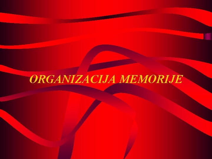 ORGANIZACIJA MEMORIJE 