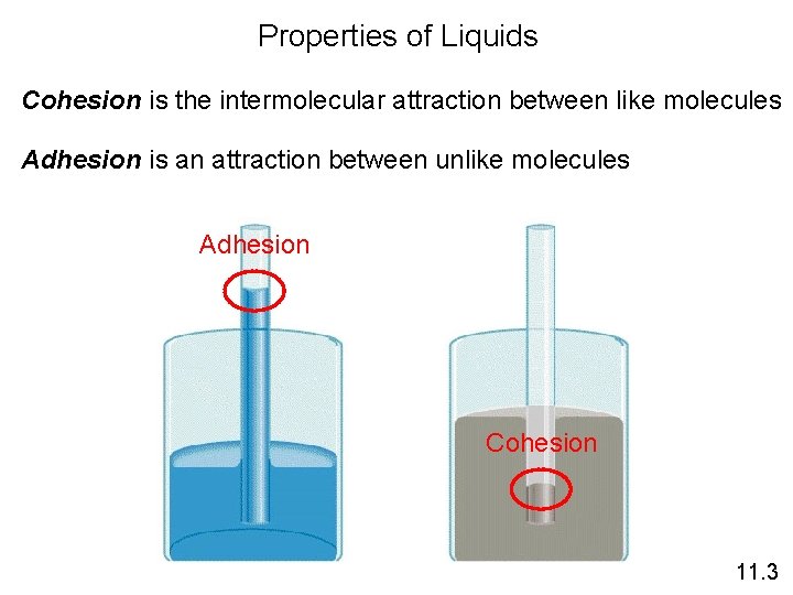 Properties of Liquids Cohesion is the intermolecular attraction between like molecules Adhesion is an