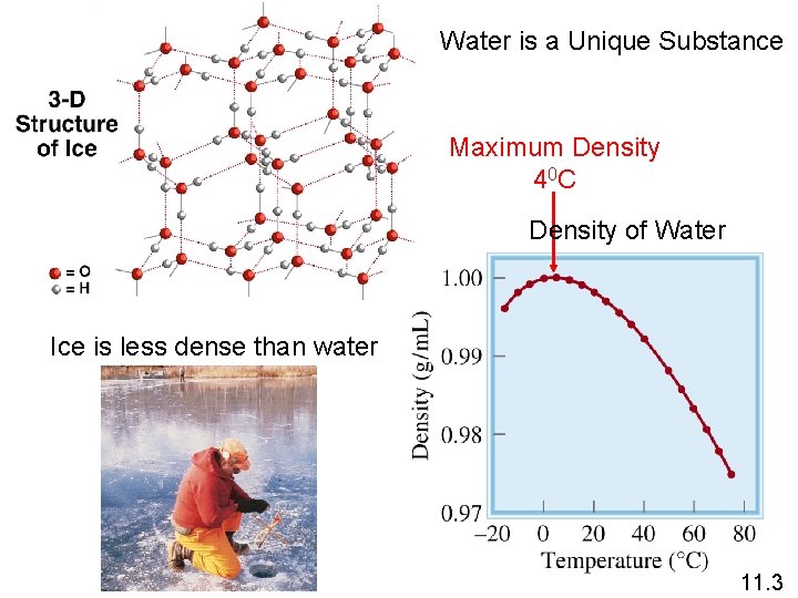 Water is a Unique Substance Maximum Density 4 0 C Density of Water Ice