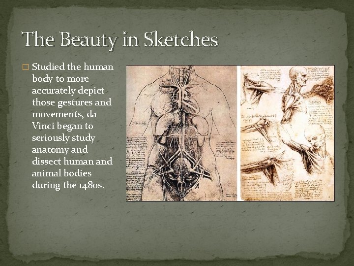 The Beauty in Sketches � Studied the human body to more accurately depict those