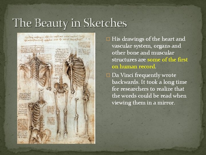 The Beauty in Sketches � His drawings of the heart and vascular system, organs
