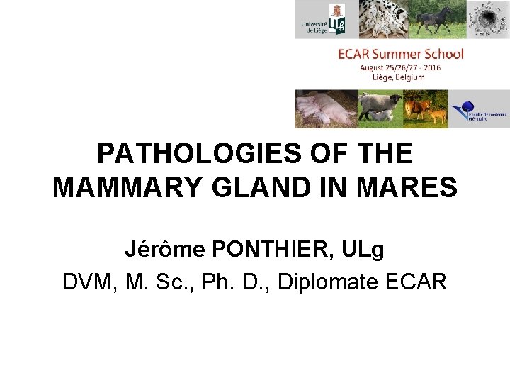 PATHOLOGIES OF THE MAMMARY GLAND IN MARES Jérôme PONTHIER, ULg DVM, M. Sc. ,