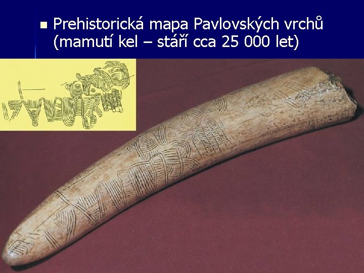 n Prehistorická mapa Pavlovských vrchů (mamutí kel – stáří cca 25 000 let) n Prehistorická mapa Pavlovských vrchů (mamutí kel – stáří cca 25 000 let)