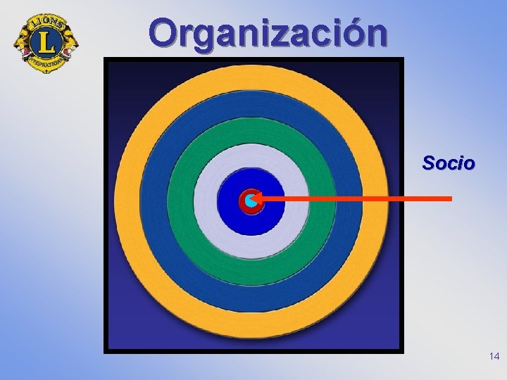 Organización Socio 14 