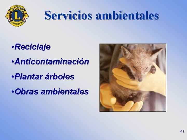 Servicios ambientales • Reciclaje • Anticontaminación • Plantar árboles • Obras ambientales 41 