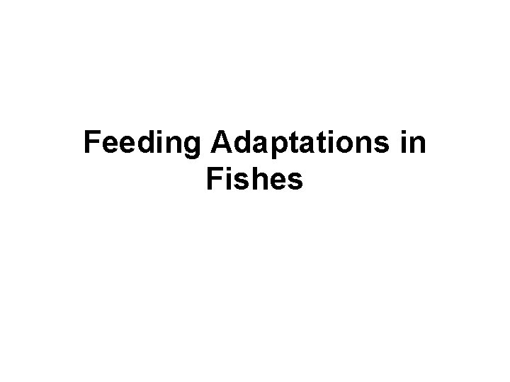 Feeding Adaptations in Fishes 