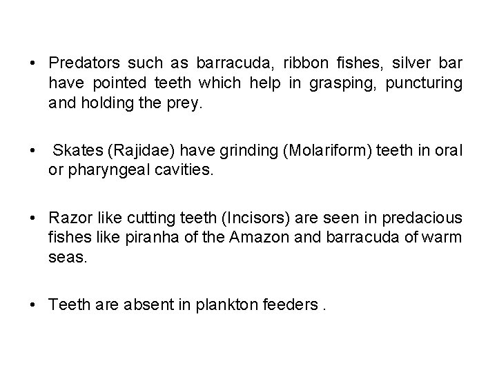  • Predators such as barracuda, ribbon fishes, silver bar have pointed teeth which