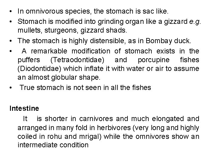  • In omnivorous species, the stomach is sac like. • Stomach is modified