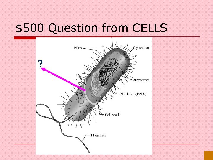 $500 Question from CELLS ? 