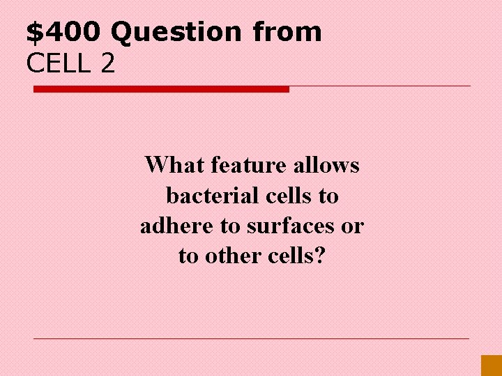 $400 Question from CELL 2 What feature allows bacterial cells to adhere to surfaces