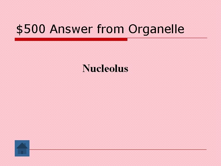 $500 Answer from Organelle Nucleolus 