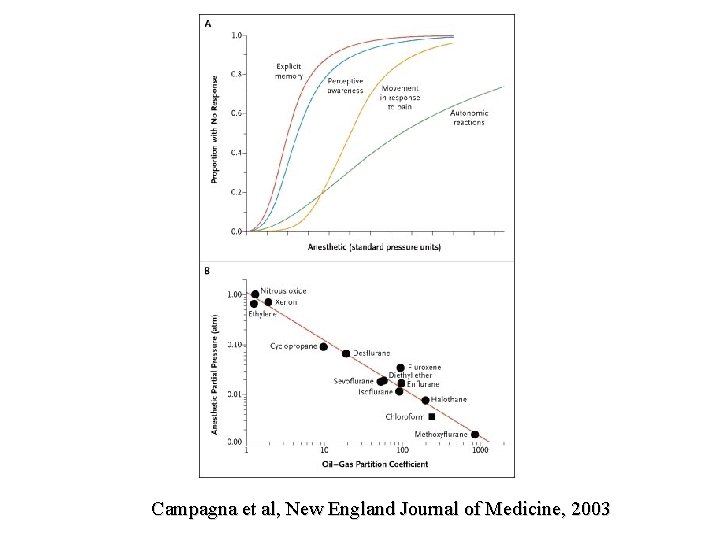 Campagna et al, New England Journal of Medicine, 2003 