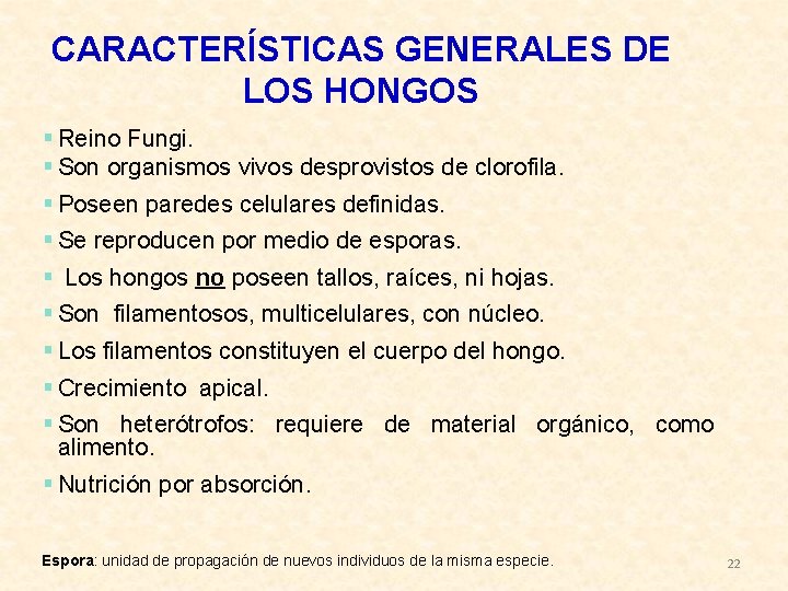 CARACTERÍSTICAS GENERALES DE LOS HONGOS § Reino Fungi. § Son organismos vivos desprovistos de