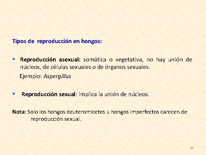 Tipos de reproducción en hongos: § Reproducción asexual: somática o vegetativa, no hay unión