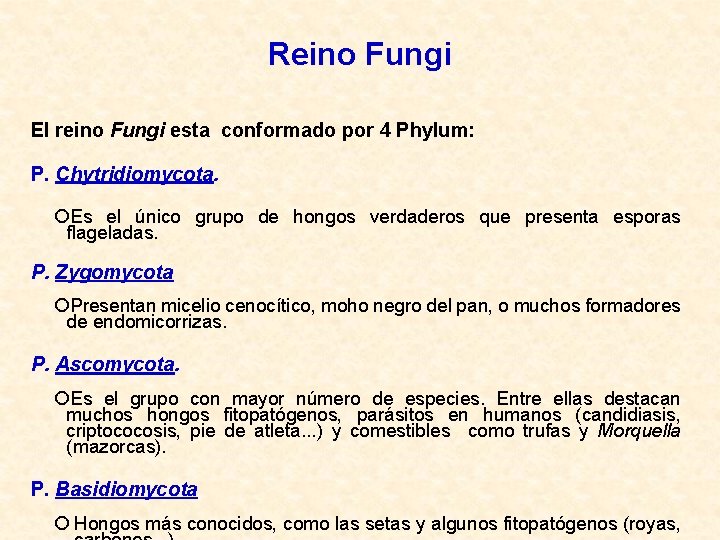Reino Fungi El reino Fungi esta conformado por 4 Phylum: P. Chytridiomycota. Es el