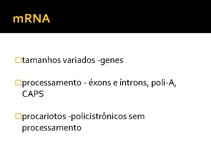 m. RNA �tamanhos variados -genes �processamento - éxons e íntrons, poli-A, CAPS �procariotos -policistrônicos