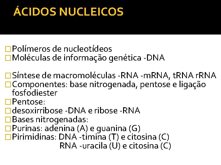 ÁCIDOS NUCLEICOS �Polímeros de nucleotídeos �Moléculas de informação genética -DNA �Síntese de macromoléculas -RNA