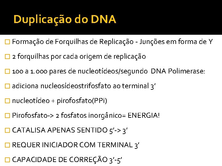 Duplicação do DNA � Formação de Forquilhas de Replicação - Junções em forma de