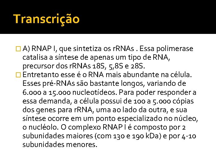 Transcrição � A) RNAP I, que sintetiza os r. RNAs. Essa polimerase catalisa a