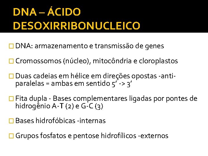 DNA – ÁCIDO DESOXIRRIBONUCLEICO � DNA: armazenamento e transmissão de genes � Cromossomos (núcleo),