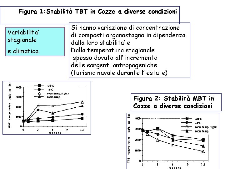 Figura 1: Stabilità TBT in Cozze a diverse condizioni Variabilita’ stagionale e climatica Si