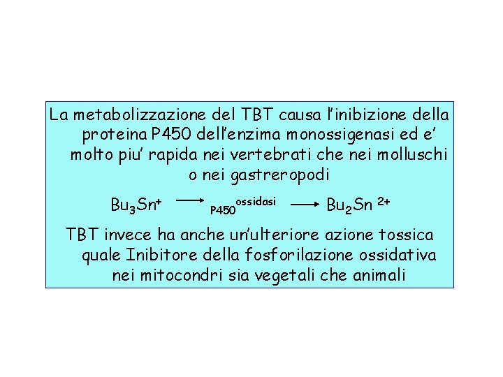 La metabolizzazione del TBT causa l’inibizione della proteina P 450 dell’enzima monossigenasi ed e’