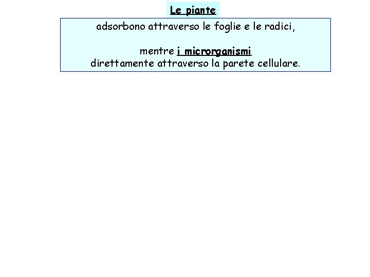 Le piante adsorbono attraverso le foglie e le radici, mentre i microrganismi direttamente attraverso