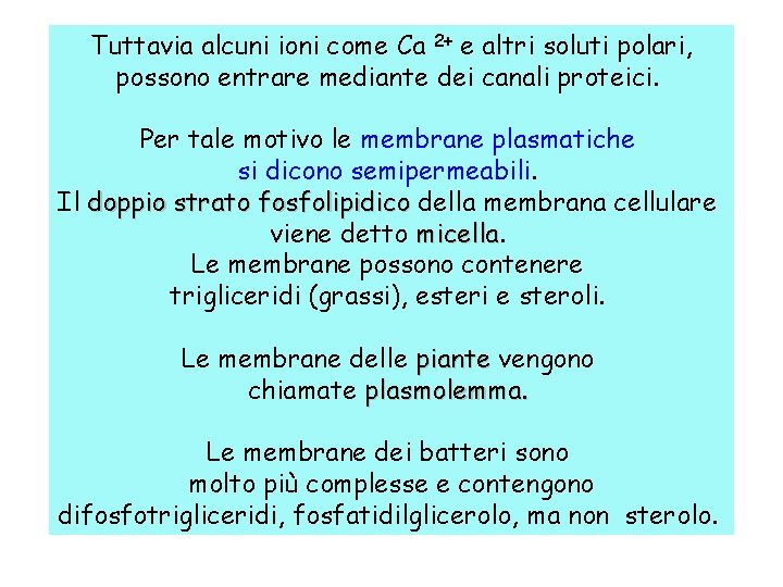Tuttavia alcuni ioni come Ca 2+ e altri soluti polari, possono entrare mediante dei