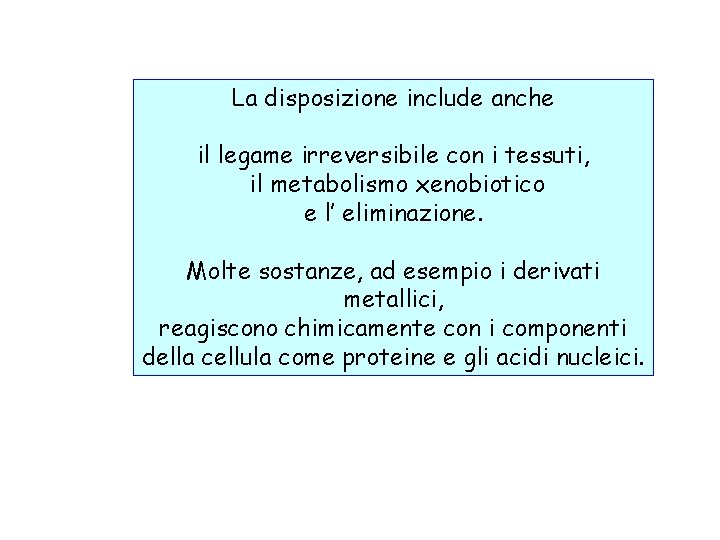 La disposizione include anche il legame irreversibile con i tessuti, il metabolismo xenobiotico e