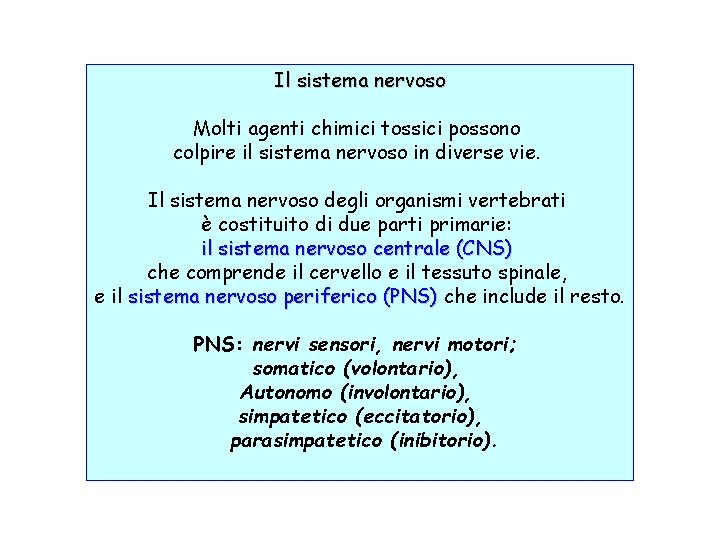 Il sistema nervoso Molti agenti chimici tossici possono colpire il sistema nervoso in diverse