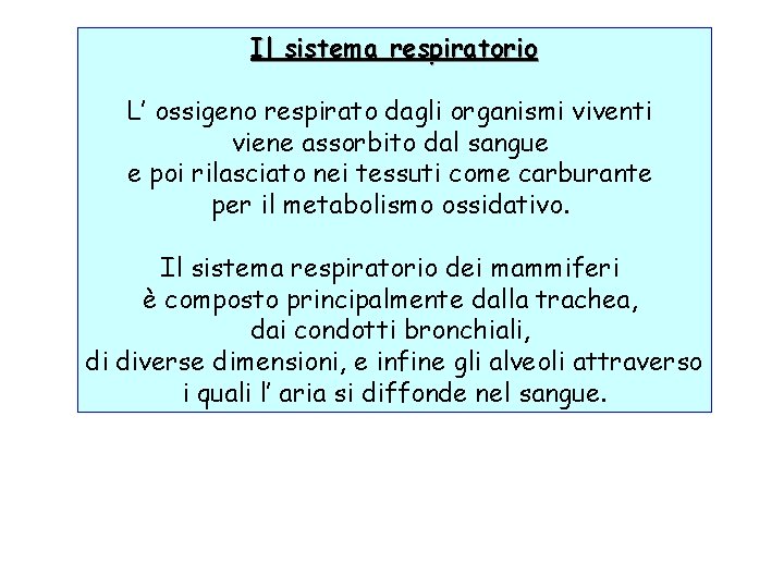 Il sistema respiratorio L’ ossigeno respirato dagli organismi viventi viene assorbito dal sangue e