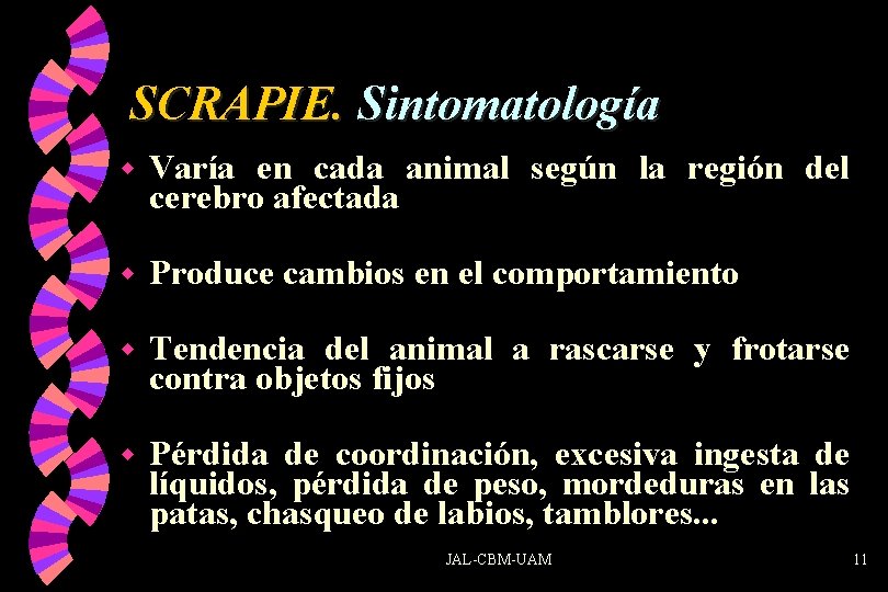 SCRAPIE. Sintomatología w Varía en cada animal según la región del cerebro afectada w