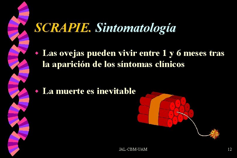 SCRAPIE. Sintomatología w Las ovejas pueden vivir entre 1 y 6 meses tras la